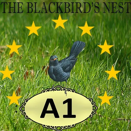 The Blackbird's Nest Apartment *